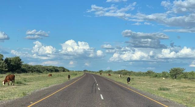 管控措施怎么写，疫情防控措施怎么写（雅杜高速项目质量管控措施）