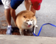 沉迷学习日渐消瘦，搞笑/头像/沉迷学习,日渐消瘦.微信（表情包/沉迷学习）