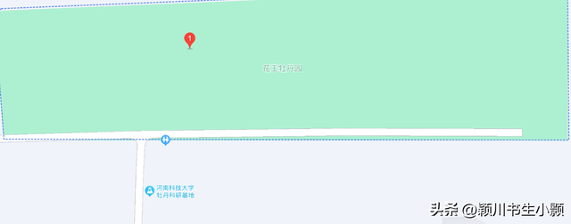 洛阳最值得一看的牡丹园，史上最全的洛阳牡丹观赏园