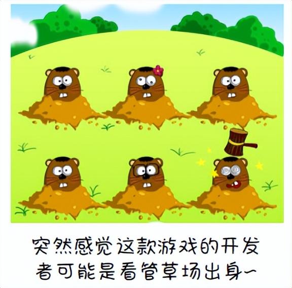 仓鼠叫是怎么回事，仓鼠叫唤是什么意思（你究竟是仓鼠还是地鼠）