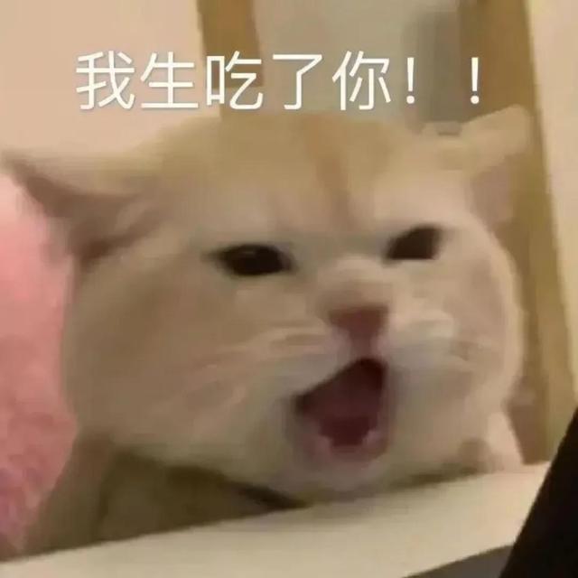 萌宠表情包，微信头像，萌宠表情包（萌宠表情包：我的爱是垃圾吗）