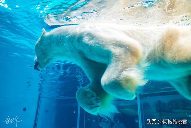 哈尔滨旅游攻略自由行攻略最新，哈尔滨一日游攻略