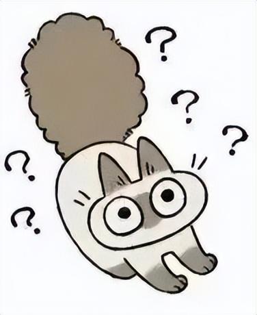 好看的表情包(10000种表情包图片大全)