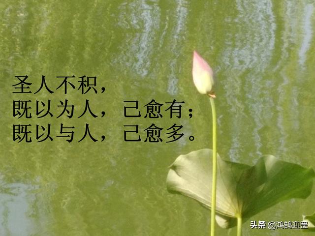 老子为什么要骑青牛出海关，老子为什么要骑青牛出海关脑筋急转弯四个字（老子当年为何要西出函谷关）