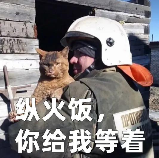 俄罗斯的猫和其他国家的猫对比，世界上只有两种猫