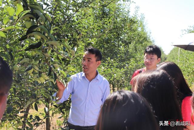 西北大学现代学院，西北大学现代学院是985大学还是211大学（用青春力量助力乡村振兴）