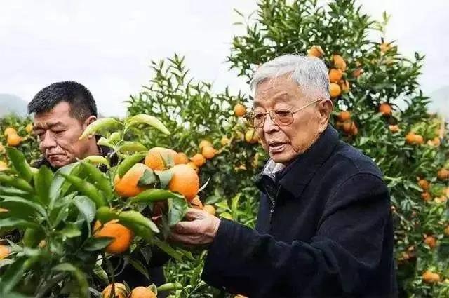 夕阳无限好的下一句，夕阳无限好的下一句是什么（夕阳无限好的下一句撩妹）