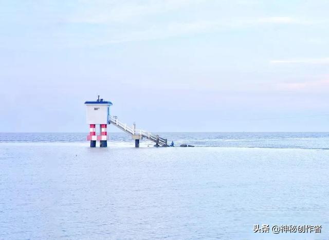 胆子大的人有什么特点，胆子大（厉害的人都有这十大特征）