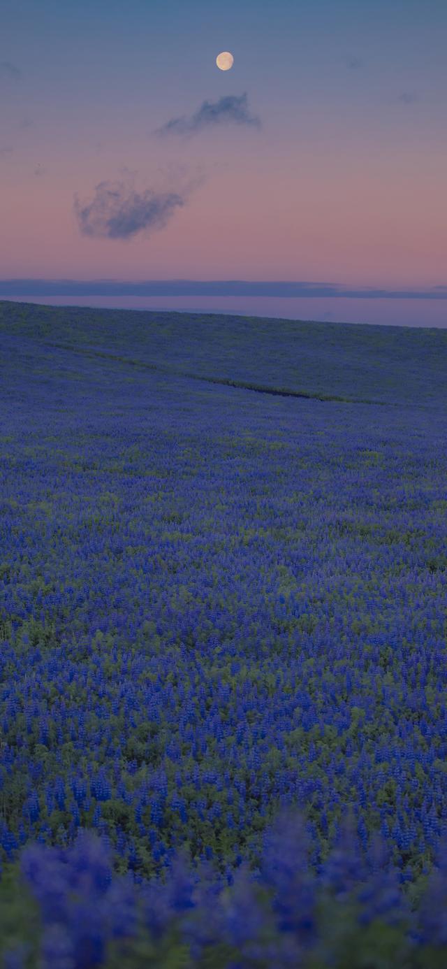 夏天干净治愈系美图 前方的风景好 我的意思是别回头,治愈的夏天图片