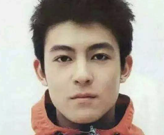 中国十大帅哥排名，中国的10大帅哥（10位巅峰时期的男星）