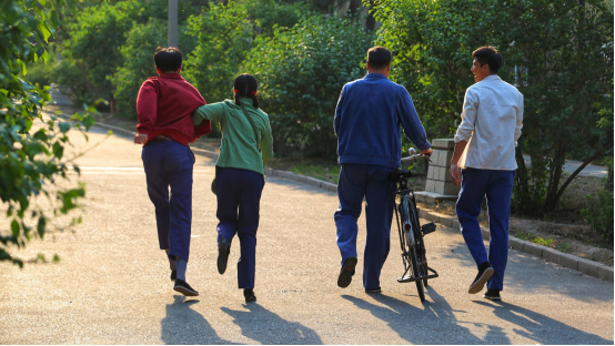 知青家庭结局剧情，年代剧《知青家庭》热播