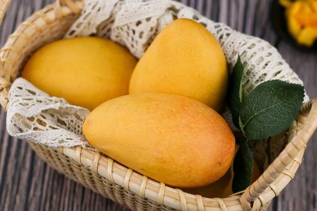 孕妇可以吃芒果吗，孕妇可以吃芒果吗早期（芒果新品种？慎食！）