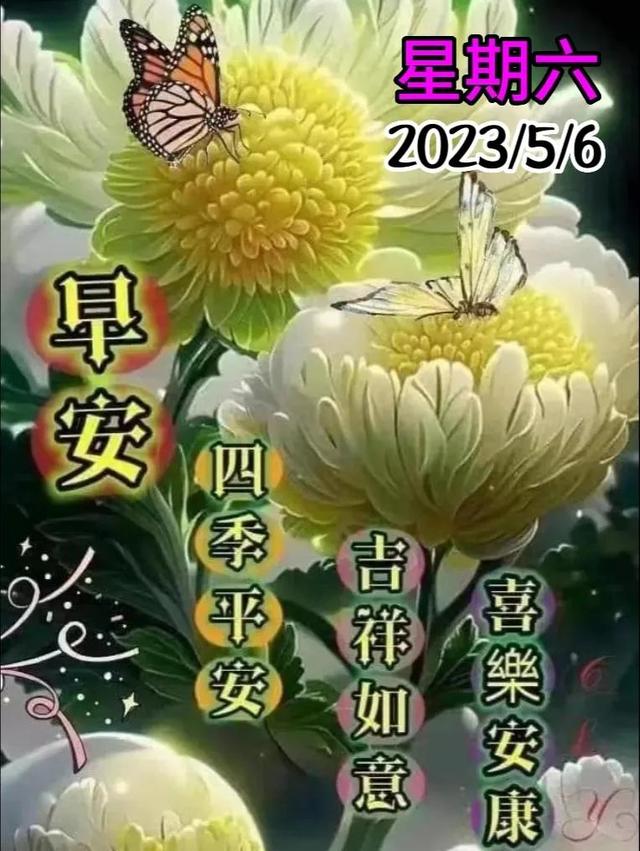 早安问候语每日更新，早上好短句早安问候语每日更新（亲切的暖心问候语）