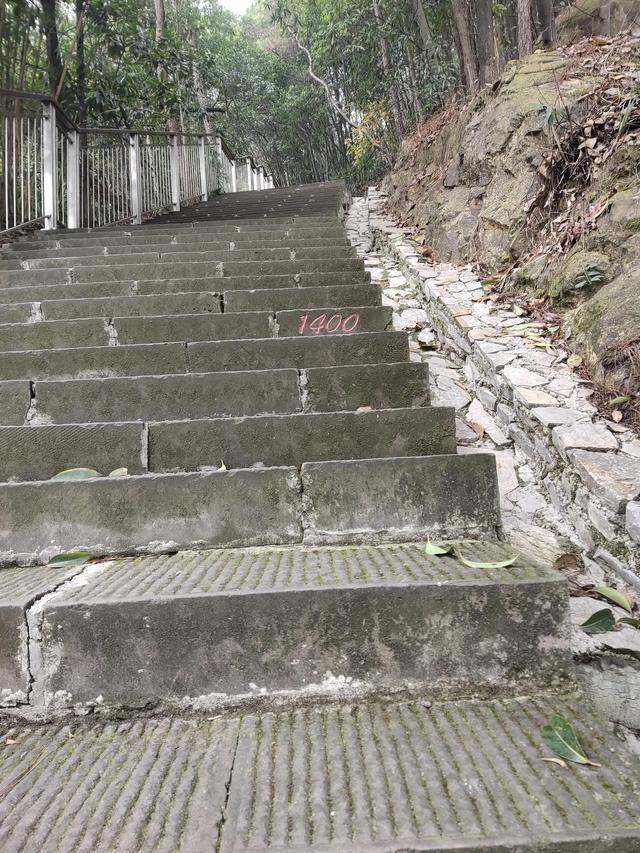 歌乐山森林公园，重庆旅游必去景点（歌乐山国家森林公园）