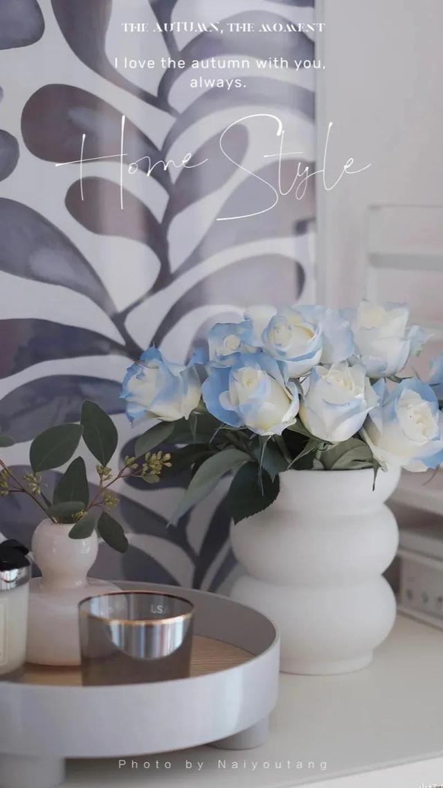 碎冰蓝玫瑰花语，碎冰蓝玫瑰花语和寓意（碎冰蓝玫瑰，星辰大海）