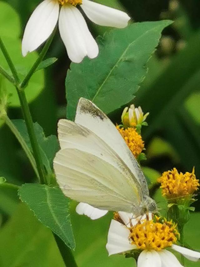 灵魂相似的人一旦相逢，灵魂相似的人一旦相逢是知心朋友（总有一天会在路上相逢）