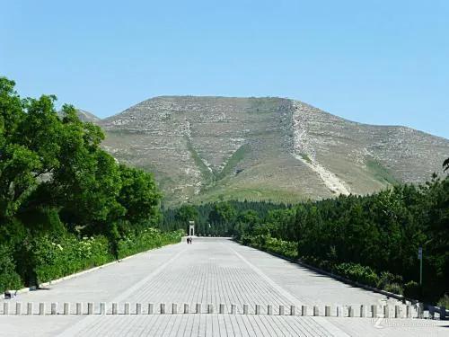 蒲城县桥陵镇地图，陕西蒲城桥陵