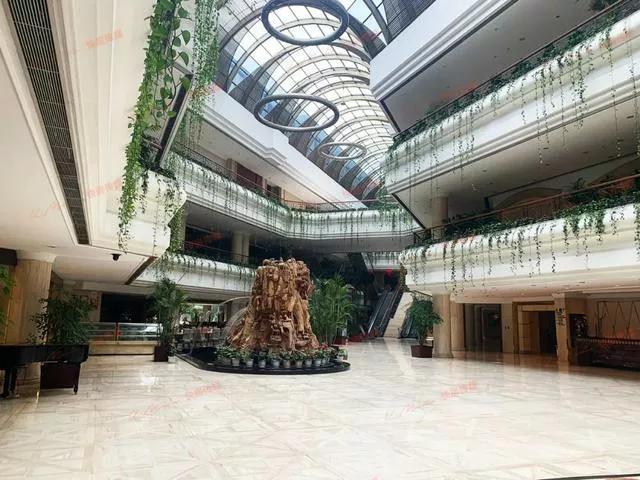 金马饭店经典菜肴亮相直播间，新金马饭店（萧山金马饭店）