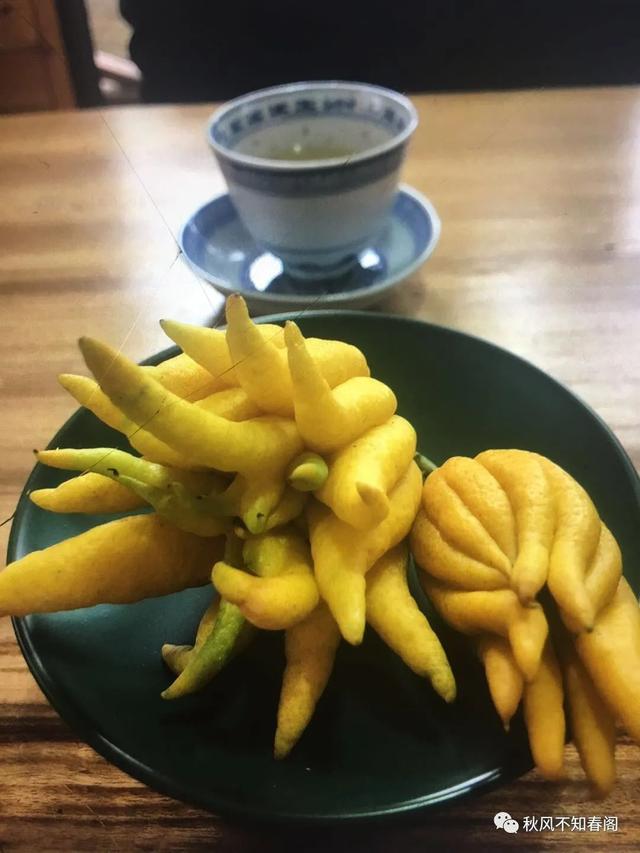 倒流香为什么叫死人香，为什么沉香招鬼（闻香识冬日）