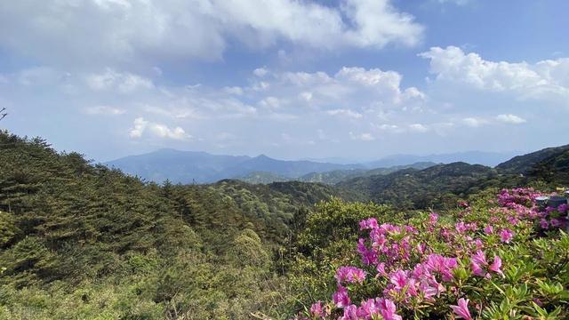 德化九仙山风景区，德化九仙山风景区旅游攻略（哪儿凉快儿呆着去）