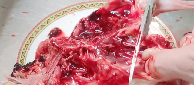 鸽子煲绿豆汤的做法，清炖鸽子汤的做法（鸽子肉嫩不腥）