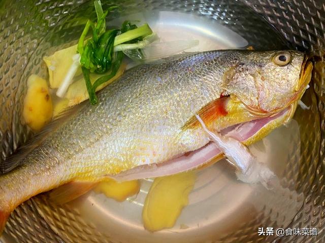 黄花鱼是海鱼吗，黄鱼是海鱼吗（推荐买这4种海鱼）