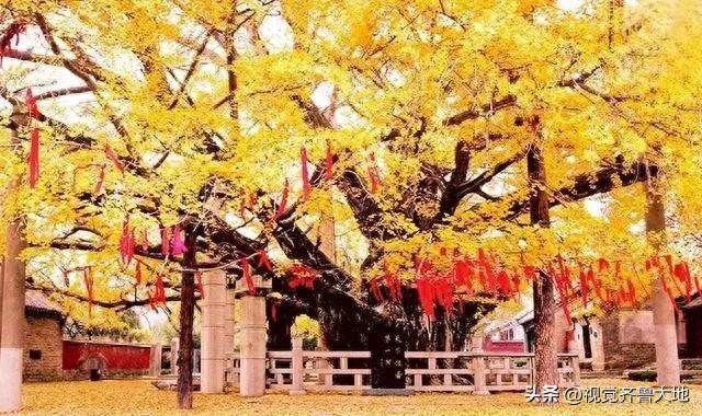 浮来山一日游