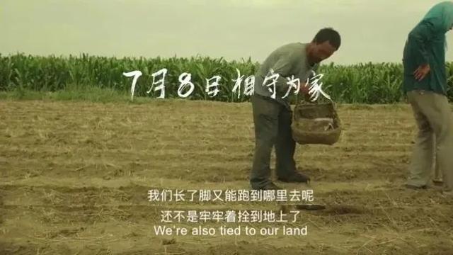 秋天的命运演员表，夏妍的秋天演员表（“西北宇宙”又打出一副王炸）