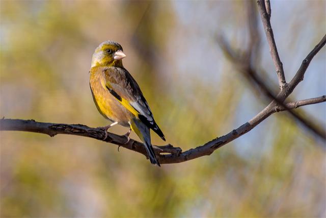 别人不尊重你你要怎样对待，当别人不尊重你时怎么办（看看职场高手怎么做的）