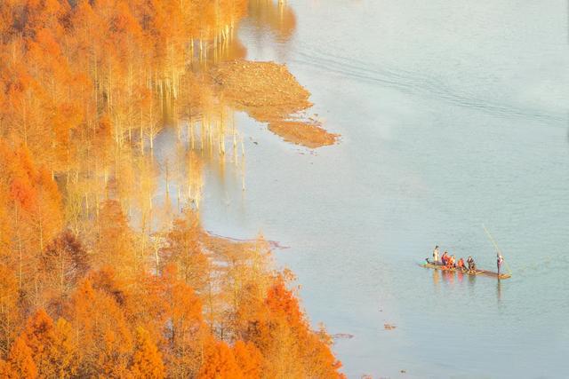 10种代表秋天的景物，秋天的景色有哪些（这10个小众绝美的秋景地）