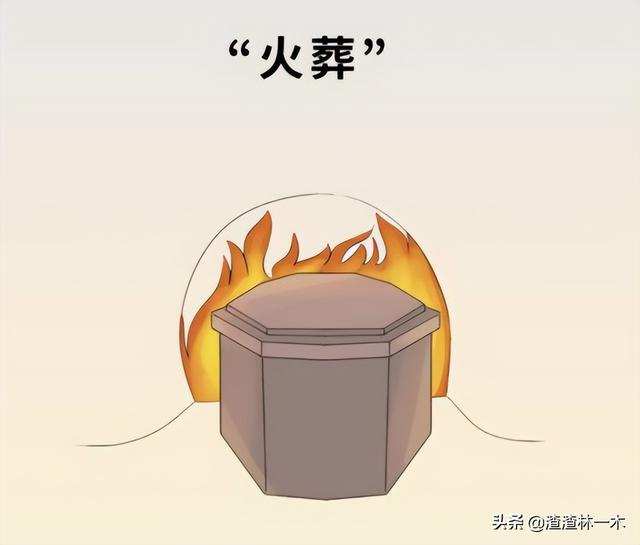 假死一般持续多久，兔子假死时间维持多久（美国殡仪馆男子睡着被推入火化炉）
