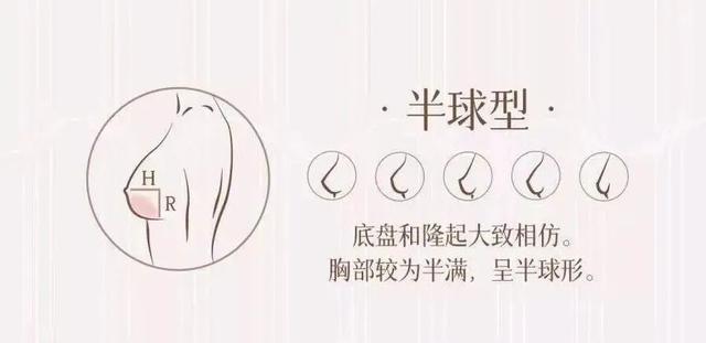 bra是什么，bra是什么尺码（这些胸部相关的小知识你一定要知道）