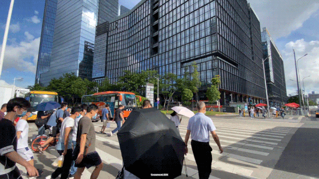 深圳市有几个区(深圳市南山区有几个街道)