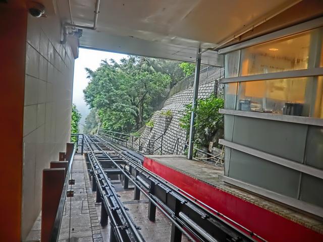 去香港旅游注意事项，香港旅游注意事项禁止喂养鸽子吐痰违反将被刑事检控（整理出这篇最全攻略）