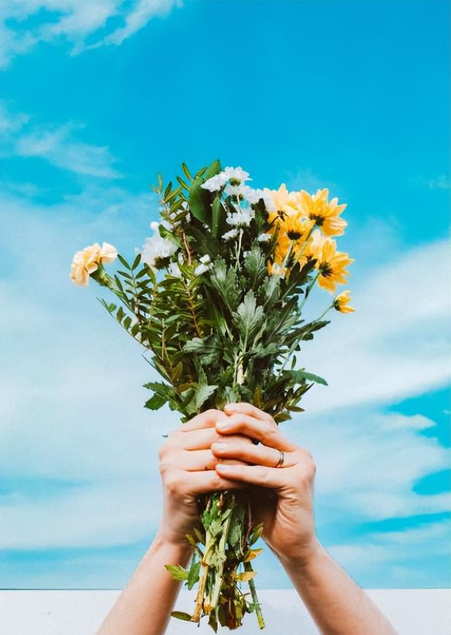 名家散文美句摘抄赏析，名家散文摘抄加批注（朱自清的十条精辟语录）