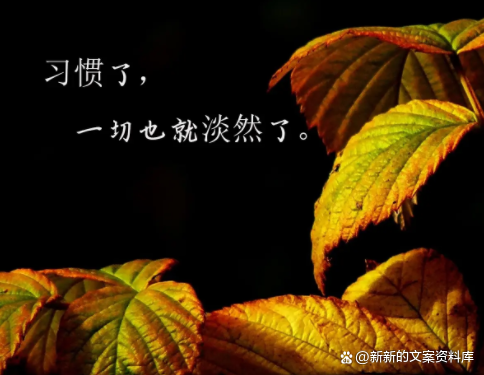 情绪低落想哭怎么办，为什么会情绪低落想哭（越看越想哭的催泪文案）