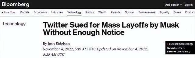 小蓝鸟是什么社交软件，推特“马化”，疼