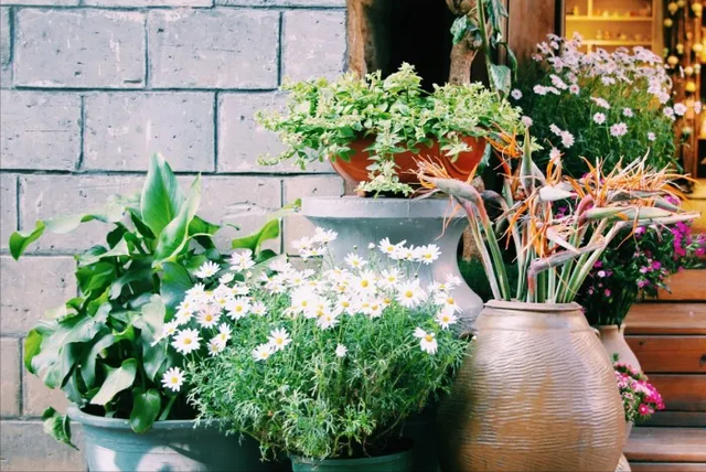 心机凤凰男的惯用伎俩，已婚男惯用这四大伎俩勾引未婚女（其娘家被榨干：凤凰男6大套路）