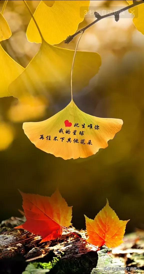 个性意境美图 我想让风也开花,再送你一春的山花烂漫,吹面不寒杨柳风