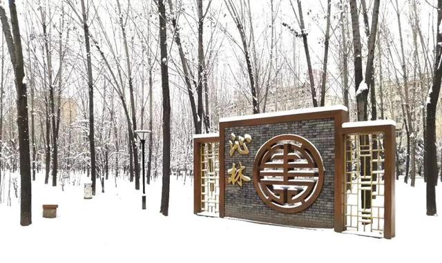 西安市所有五年制大专详细点，西安五年制大专有哪些（走进“省级示范院校”—西安医学高等专科学校）