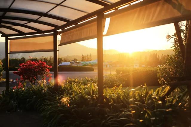 苏梅岛旅游攻略线路，苏梅岛旅游报价（我在这个小岛提早过起夏天了）