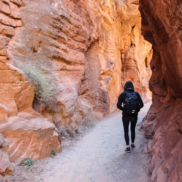 人生如白驹过隙，人生在世如白驹过隙（人生在世如白驹过隙忽然而已）