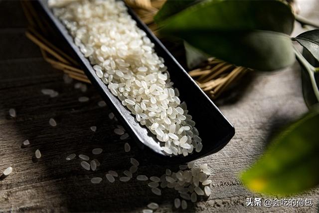 什么大米最好吃，五种公认好吃的东北大米（10种大米比较出名）