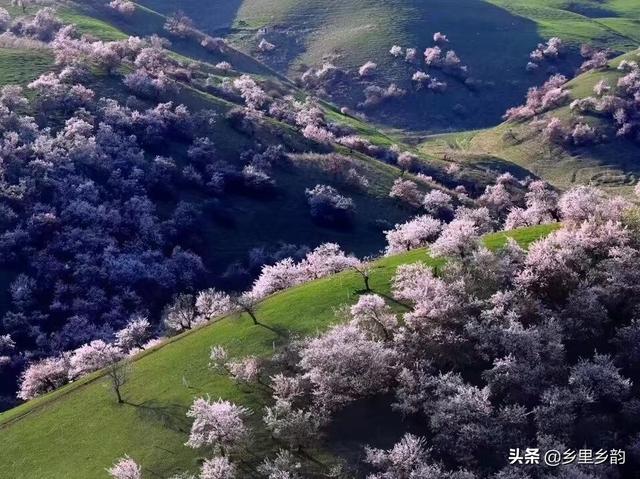 南疆和北疆的区别，第一次到新疆（南疆和北疆的区别很大）