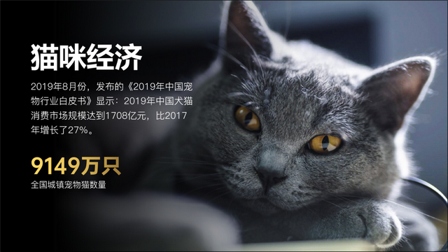 字体放大怎么操作，怎么快速放大缩小字体（领导：“PPT给我放大）