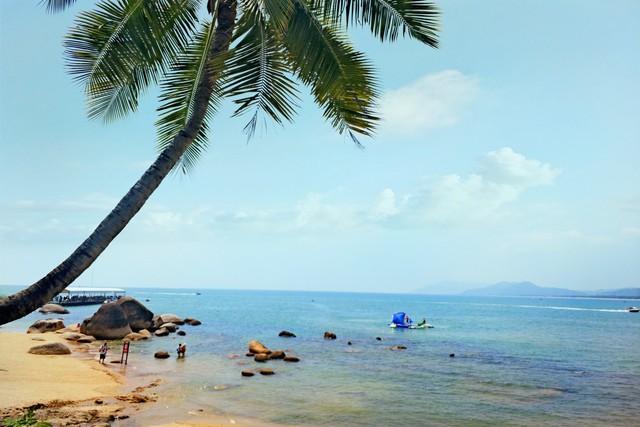 做什么梦说明爱情要来了，什么梦预示真爱到了（爱情魅力追求梦）