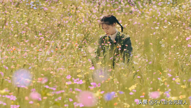 现代军旅电视剧大全集，军旅题材电视剧（《王牌部队》看不下去）