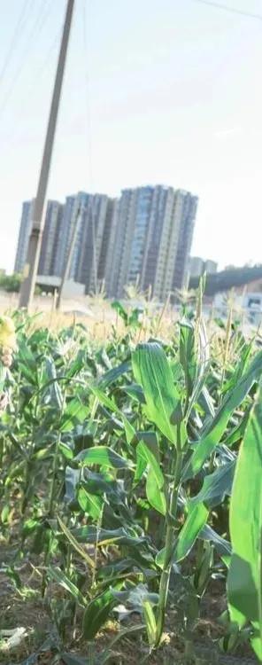 福州旅游必去十大景点，福建旅游必去十大景点有哪些（福州这13个宝藏地方）