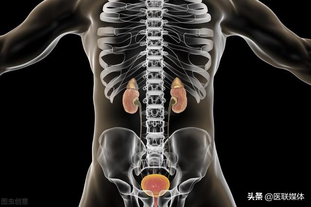 肾虚怎么食补，肾虚怎么食补调理（这5类补肾食物，助您补出好肾）