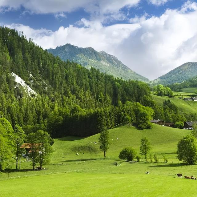 重庆仙女山景点介绍，重庆仙女山有哪些景点值得去（一个美得不可方物的人间仙境）